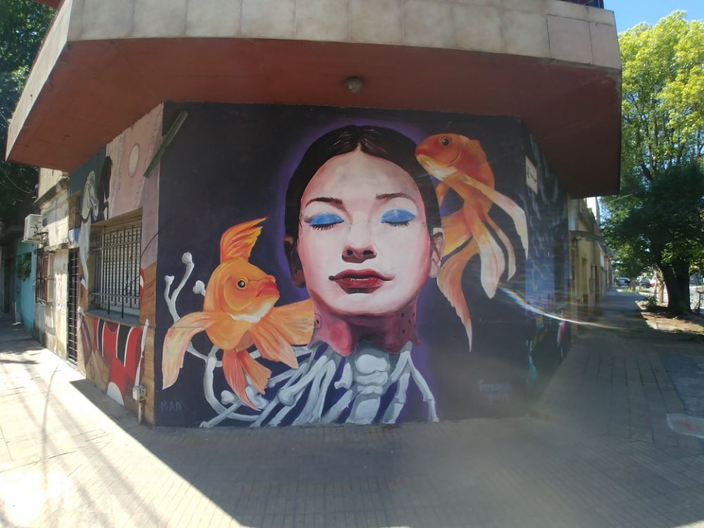 Street Art #3864