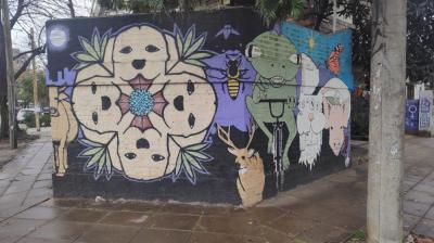Street Art #6489